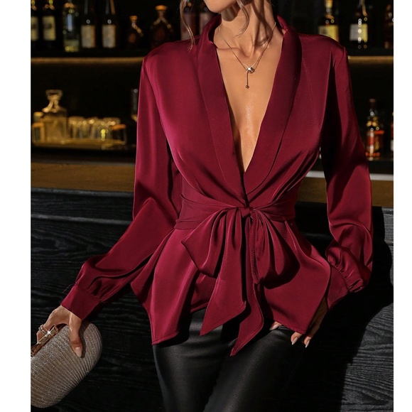 COPY - Luxe Satin Plunging Neck belted Long Sleeve Blouse - Picture 5 of 7